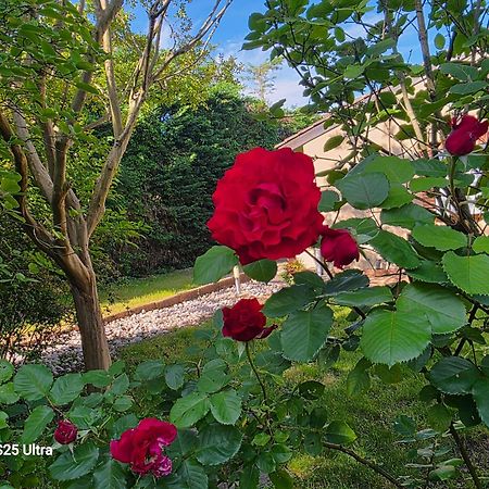 La Villa Des Violettes Τουλούζη Εξωτερικό φωτογραφία