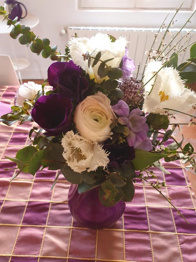 La Villa Des Violettes Τουλούζη Εξωτερικό φωτογραφία