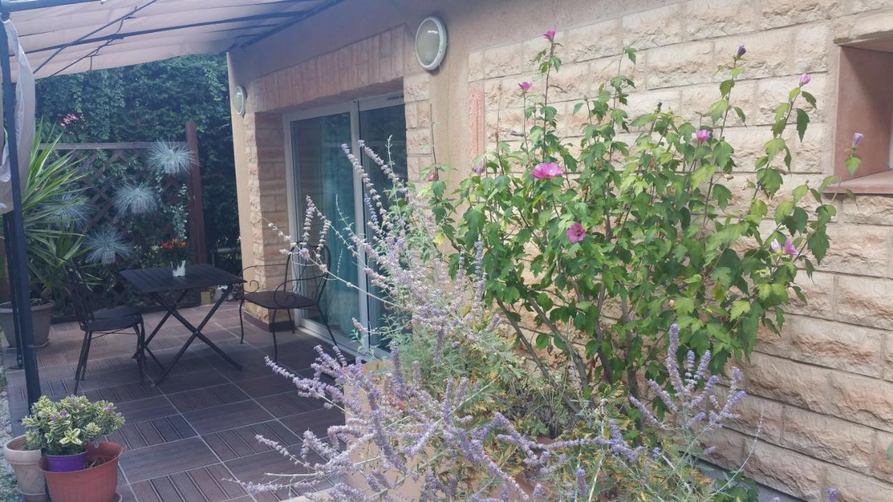 La Villa Des Violettes Τουλούζη Εξωτερικό φωτογραφία