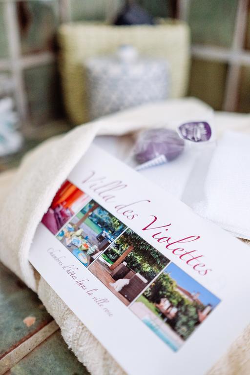 La Villa Des Violettes Τουλούζη Εξωτερικό φωτογραφία