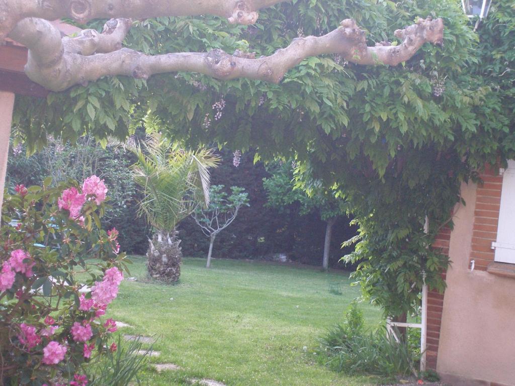 La Villa Des Violettes Τουλούζη Δωμάτιο φωτογραφία
