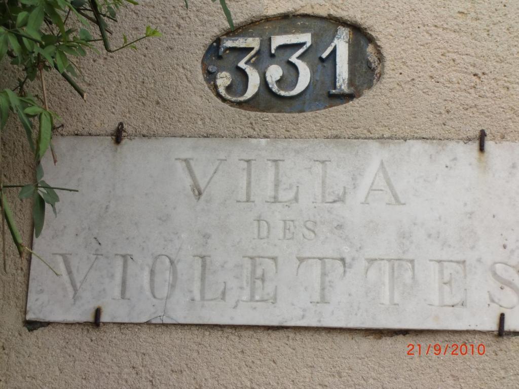 La Villa Des Violettes Τουλούζη Εξωτερικό φωτογραφία