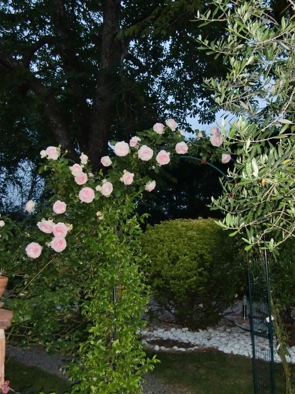 La Villa Des Violettes Τουλούζη Εξωτερικό φωτογραφία