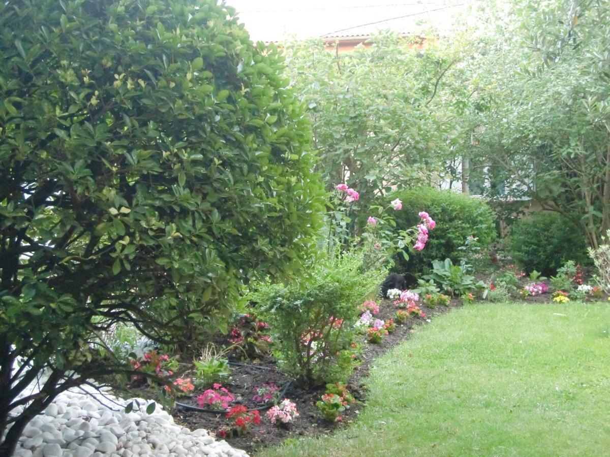 La Villa Des Violettes Τουλούζη Εξωτερικό φωτογραφία